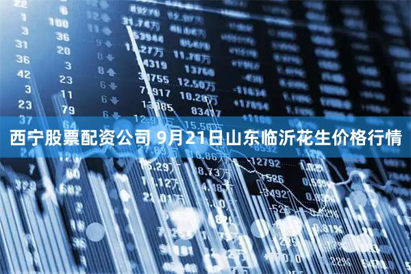 西宁股票配资公司 9月21日山东临沂花生价格行情
