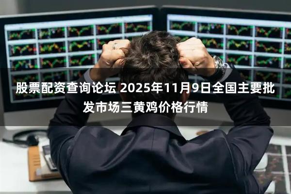 股票配资查询论坛 2025年11月9日全国主要批发市场三黄鸡价格行情
